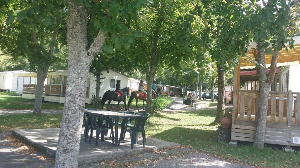 Camping Le Pre Cathare Lavelanet Dış mekan fotoğraf